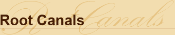 Root Canals